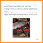 pag 20